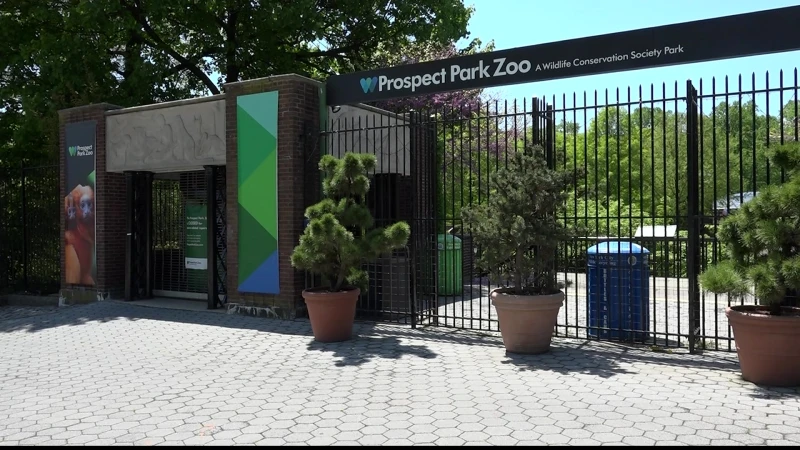 Story image: Prospect Park Zoo nears reopening after almost 8 months