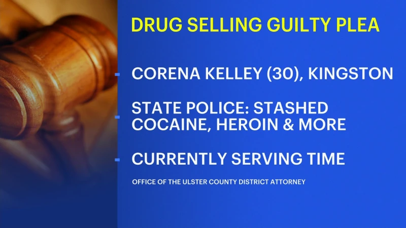 Story image: Ulster County DA: Kingston woman pleads guilty for drug possession
