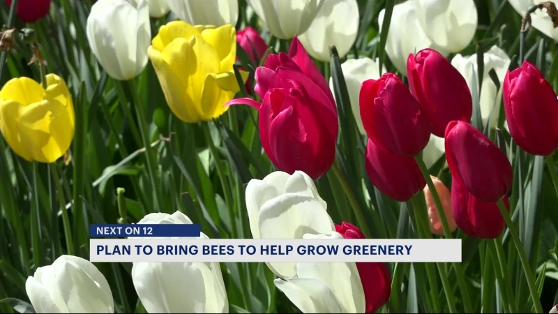 Story image: New project makes Brooklyn more bee-friendly