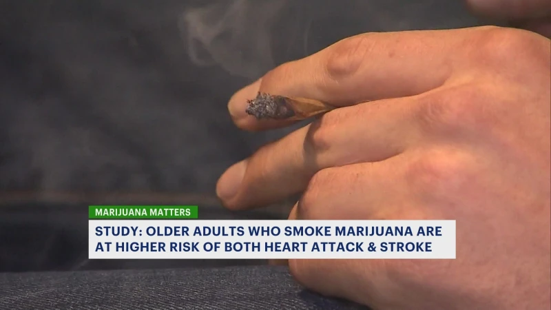 Story image: American Heart Association: Adults who use marijuana are at a higher risk of heart attack and stroke