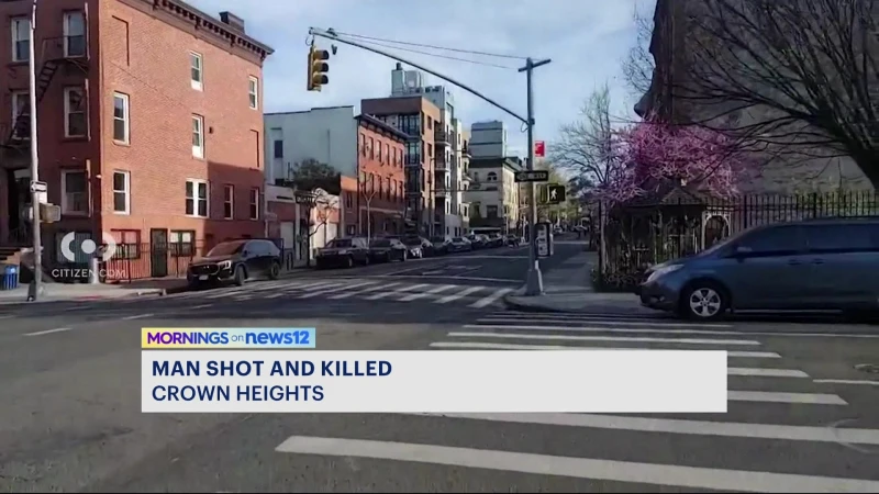 Story image: NYPD: 26-year-old fatally shot in the neck, torso in Crown Heights