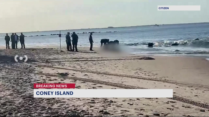 Story image: NYPD: Man found floating in Coney Island Channel pronounced dead