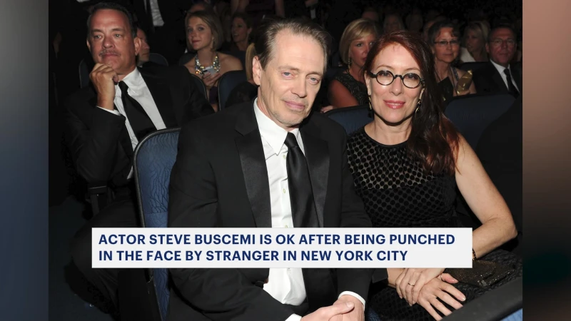 Story image: Steve Buscemi punched in the face in NYC, actor's publicist says