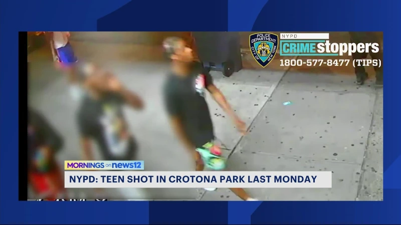 Story image: NYPD: 17-year-old shot in the stomach in the Bronx is in critical condition