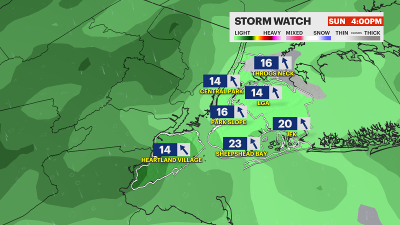 Story image: Rain throughout Sunday for the New York City metro area