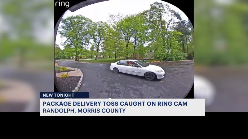 Story image: CAUGHT ON CAMERA: Delivery driver seen carelessly tossing package from car window