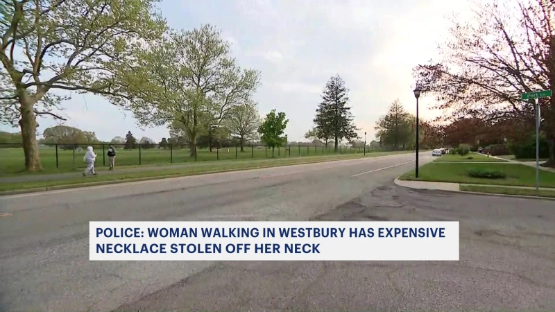 Story image: Police: $5,000 necklace ripped off woman's neck in Westbury