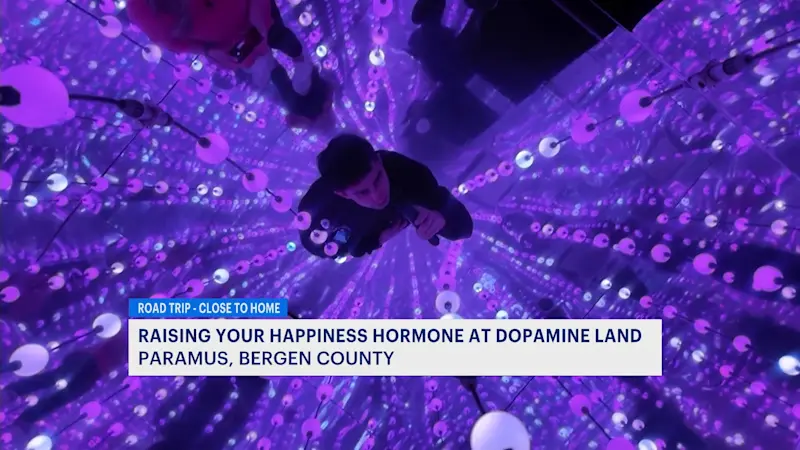 Story image: Step into a world of wonder at Dopamine Land in Paramus