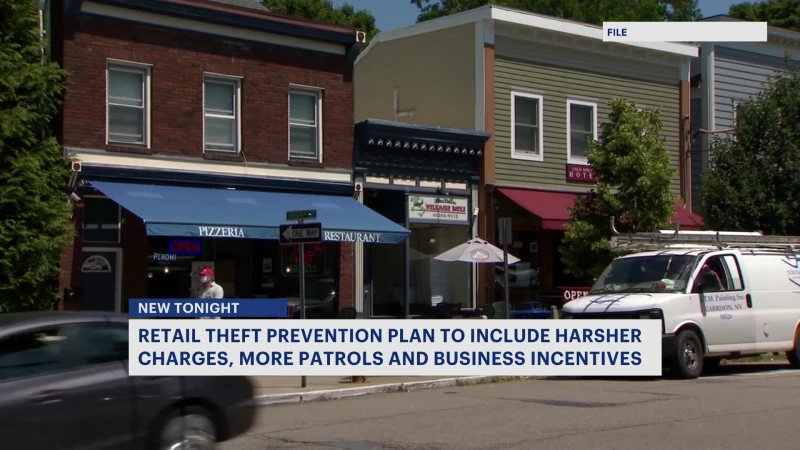 Story image: Retail prevention plan to include harsher penalties, additional patrols
