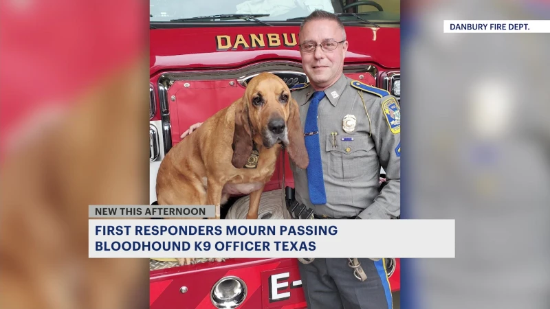 Story image: Texas, prolific retired Connecticut State Police K-9, dies from illness