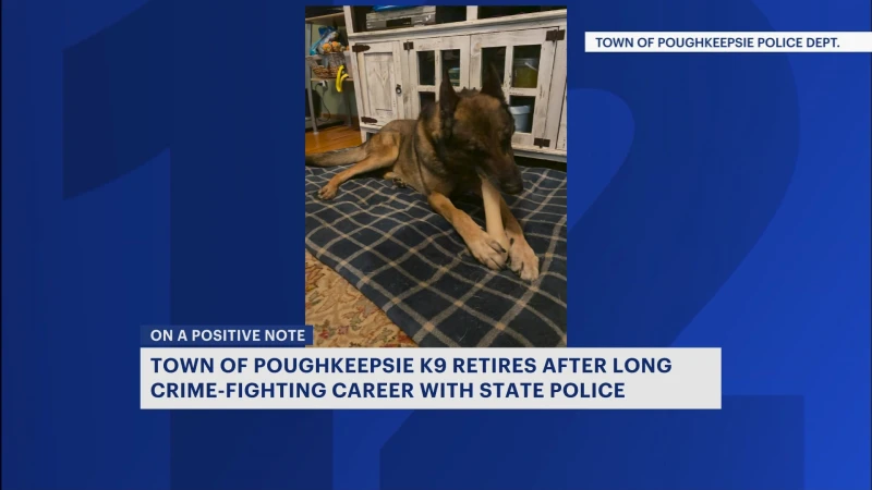 Story image: Poughkeepsie crime fighting K-9 'Kyle' retires