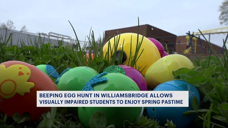 Story image: Beeping egg hunt in Williamsbridge allows visually impaired students to enjoy spring pastime