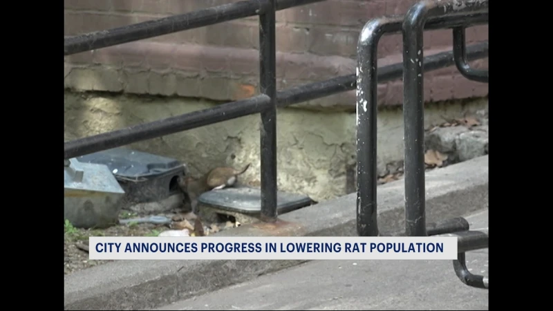 Story image: Mayor weighs in on war against rats across NYC 
