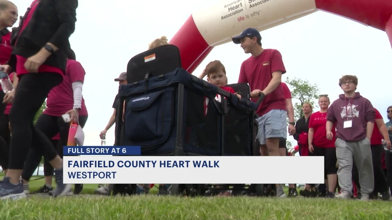 Story image: Fairfield County Heart Walk raises money for research and medical breakthroughs