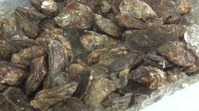 Story image: Connecticut launches Oyster Trail map to highlight state's culinary treasure