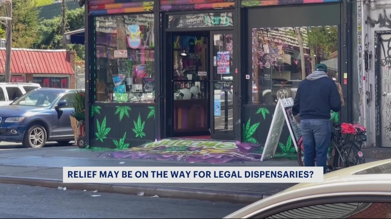 Story image: City now has power to padlock illegal cannabis stores