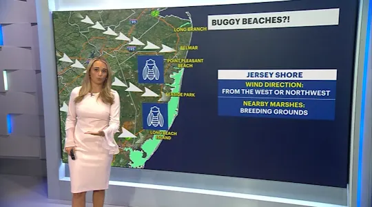 DigitalExclusiveBuggyBeachDaysLByer