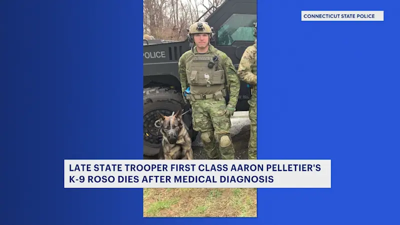 Story image: Retired K-9 who served with fallen state trooper dies