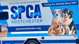 SPCA Westchester launches first mobile adoption unit