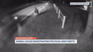 Video shows suspect stealing 'Leggio for Mayor' political sign from Howell Township property
