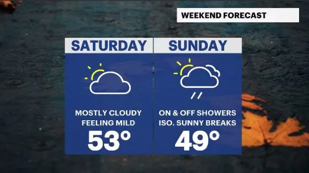 weekend hv (2).JPG