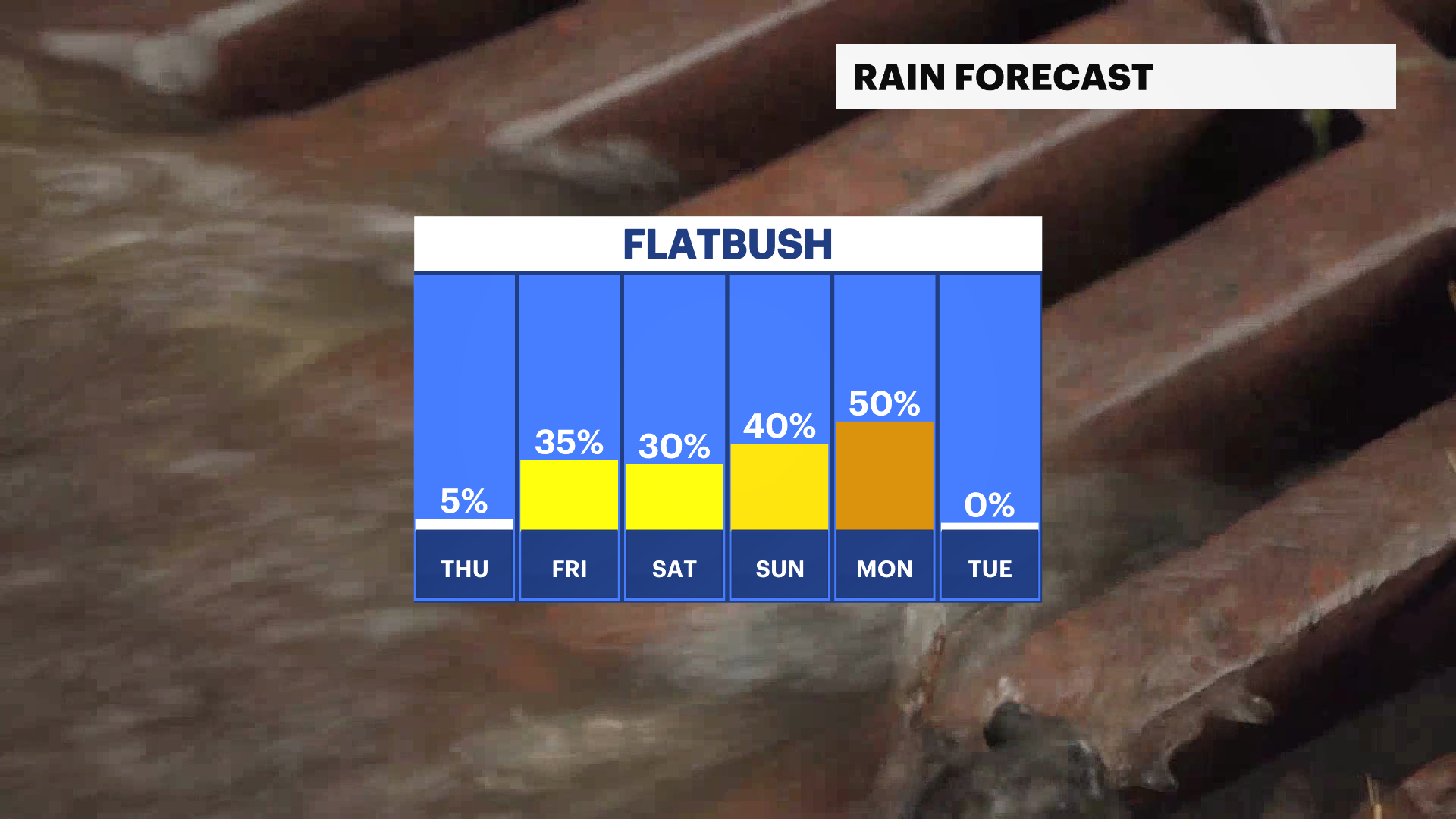 nyFB_Rain_Day.png