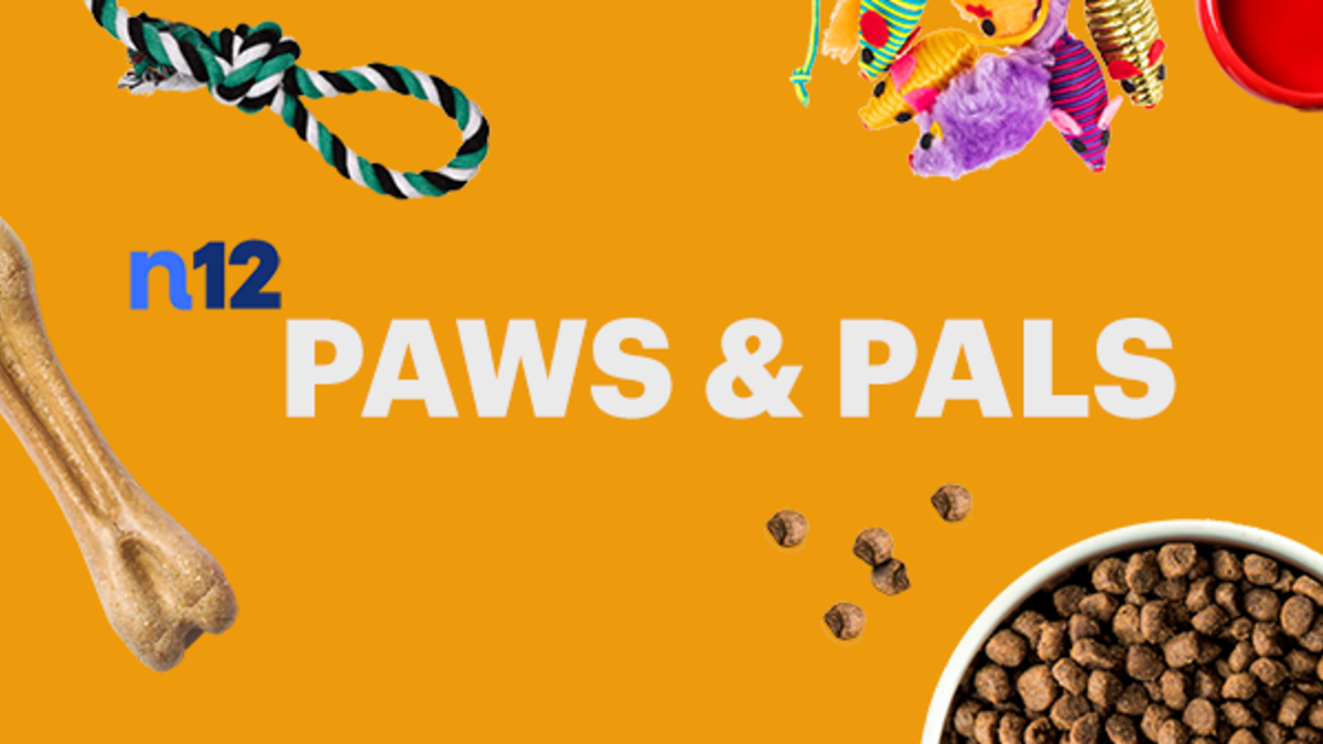 Paws & Pals