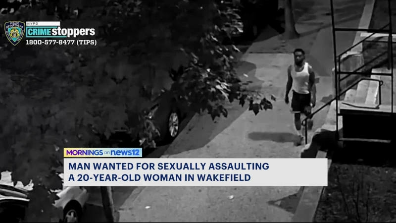 Story image: NYPD looking to identify man linked sexual assault in Wakefield