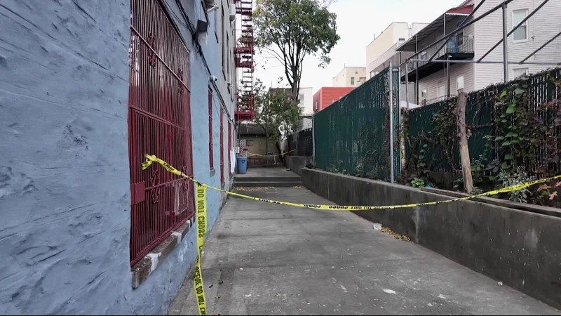 Story image: Newborn baby found dead behind a building in Soundview