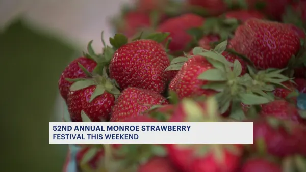 Monroe Congregational Church's 52nd annual Strawberry Festival is this weekend. Here's what you need to know! 
