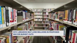 NYC libraries will lose millions in proposed budget. Here’s what Bronx residents think about it