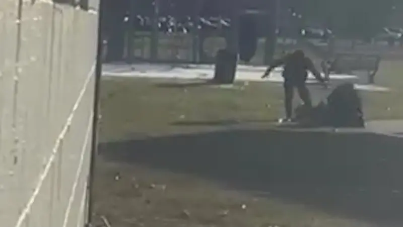 Story image: Caught on Camera: Cellphone video captures disturbing police arrest in Peekskill 