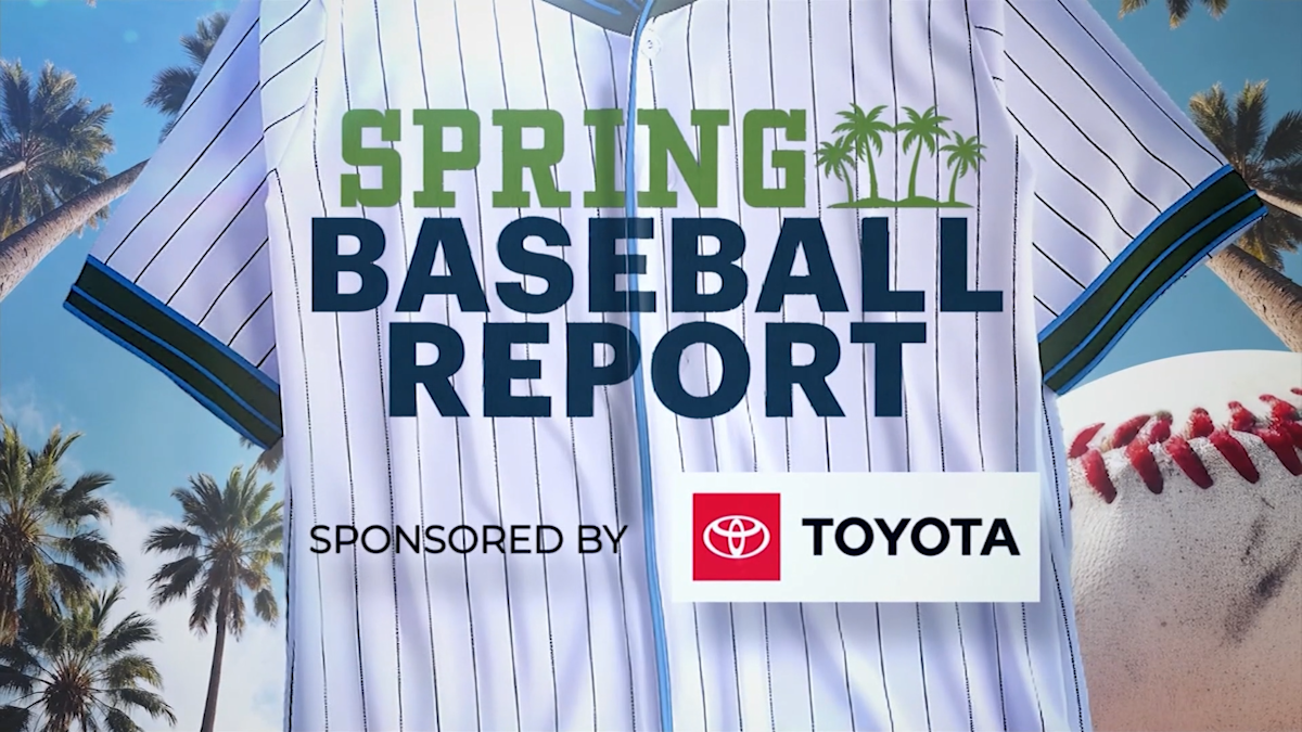 Spring Baseball Report