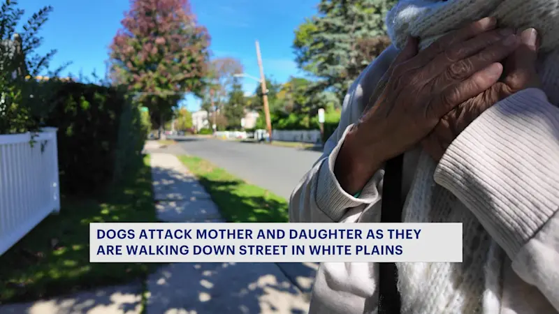 Story image: Mother and 5-year-old daughter injured in dog attack in White Plains