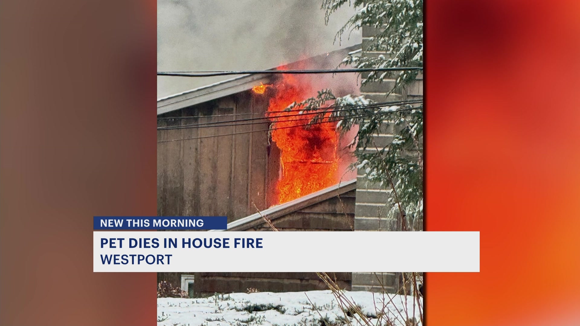 News 12 | Long Island | Westport House Fire Kills Pet Displaces Family