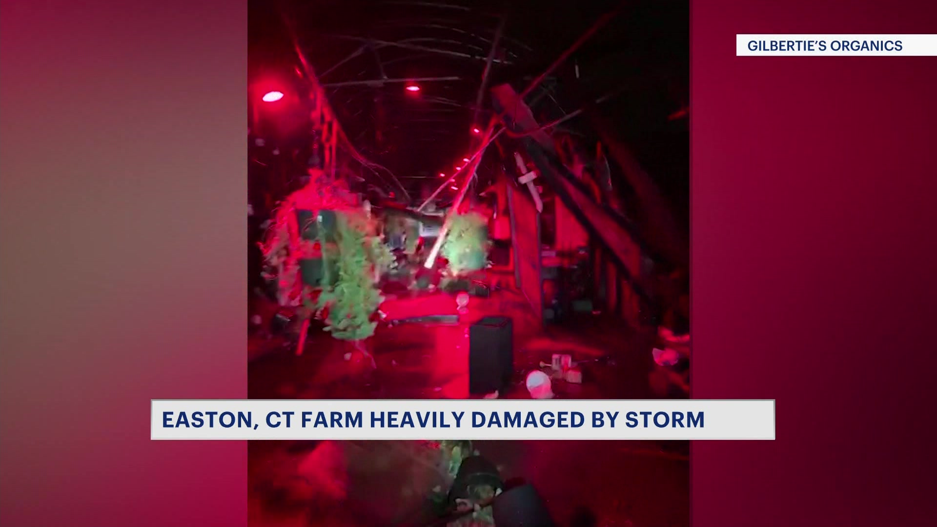'We're going to rebuild.' Easton farm heavily damaged by storm