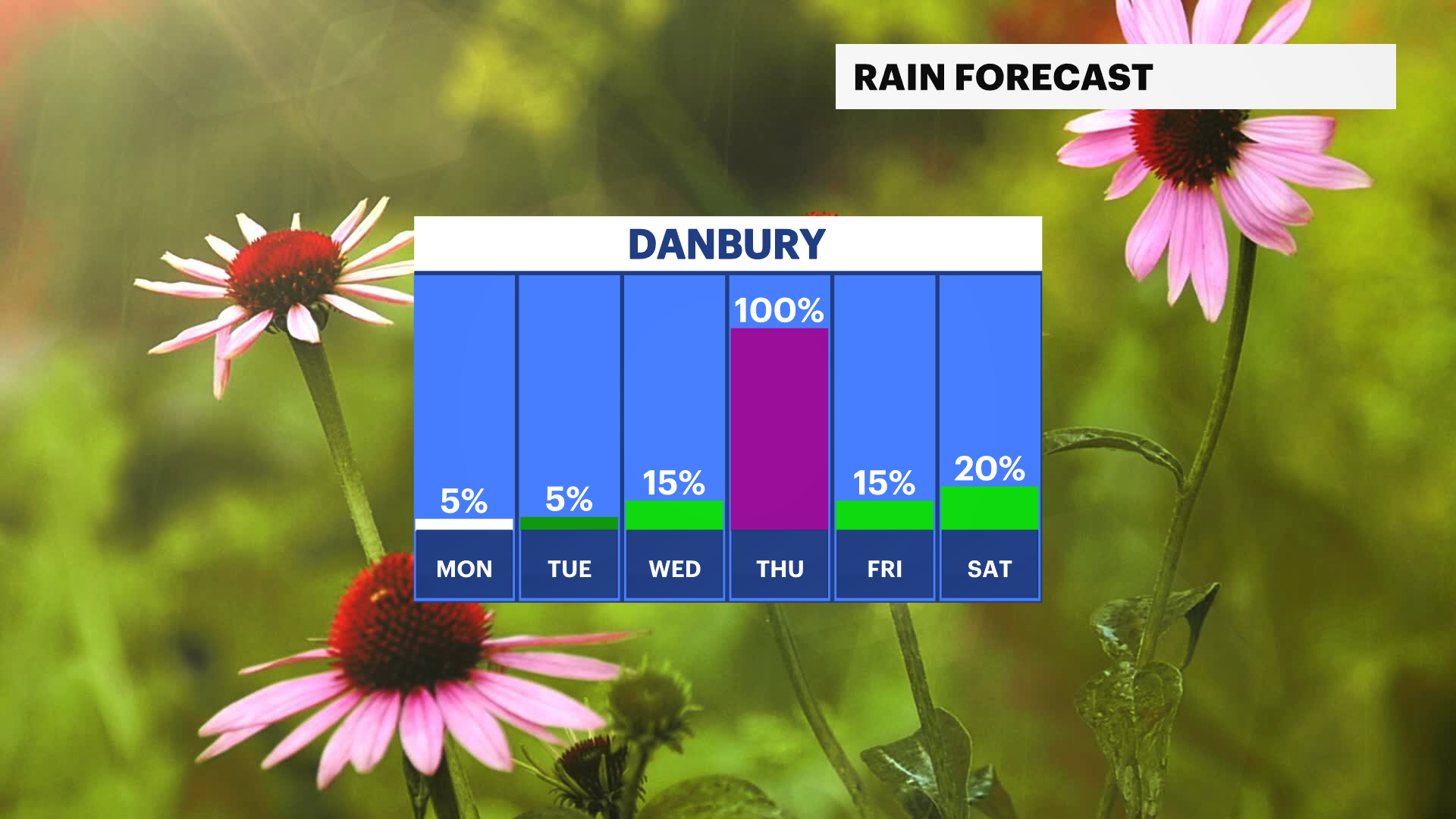 CT Sun 04262026 Daily Precip Trend.png