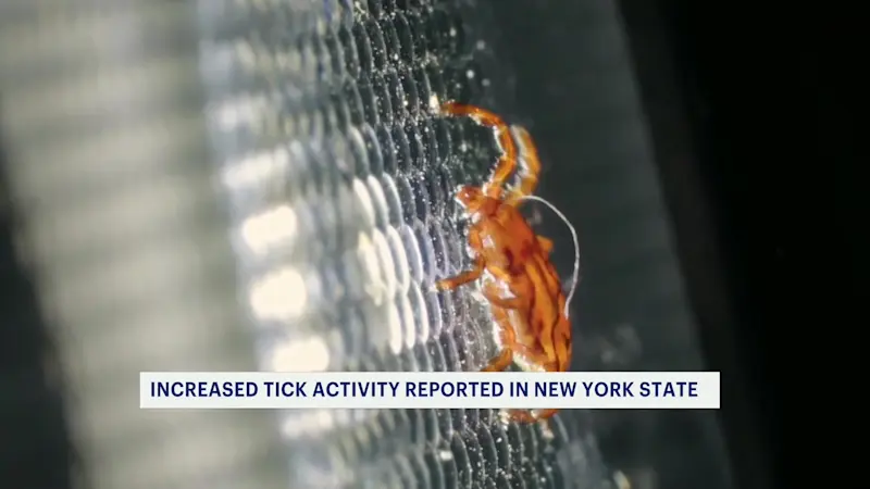 Story image:  Surge in tick-borne illnesses linked to warmer weather