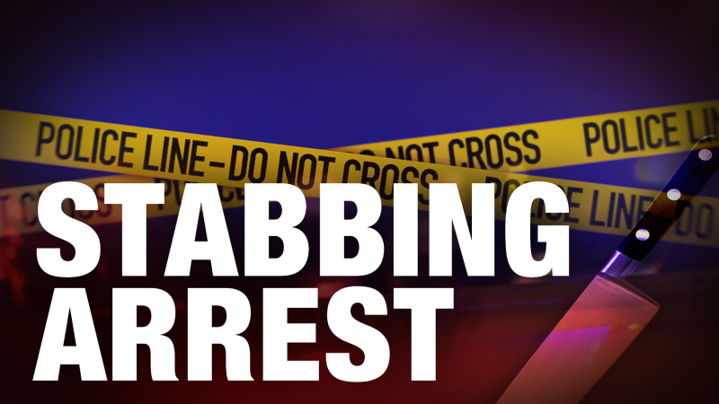 Story image: Police: New Paltz woman arrested for stabbing 79-year-old man