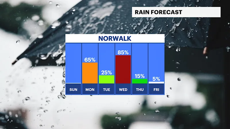 CT RAIN.png