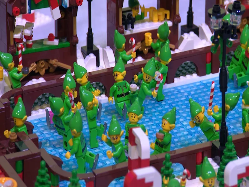 elf (1).jpg