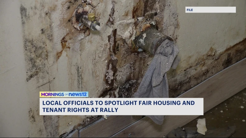 Story image: New bill would hold Brooklyn landlords accountable of unacceptable living conditions