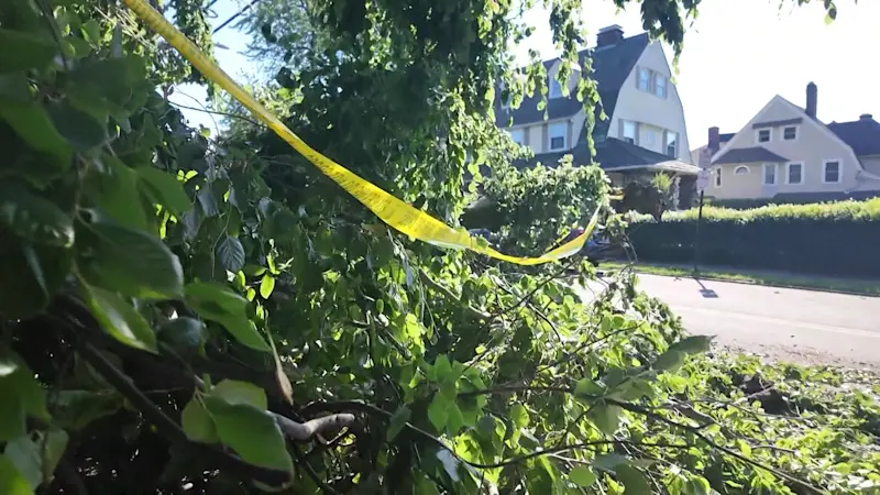 Story image: Storm leaves trail of damage across Westchester; fallen tree crushes family’s new car