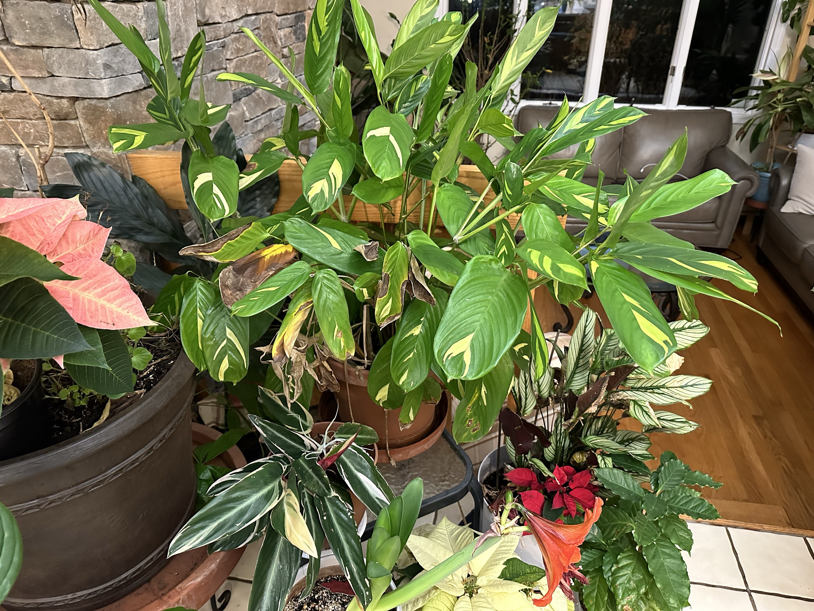 MicrosoftTeams-image (22).png