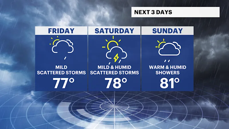 DG 3-Day Planner.png