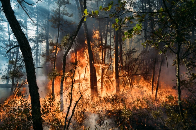 Story image: Officials: Wildfire in Wharton State Forest consumes more than 1,200 acres of land