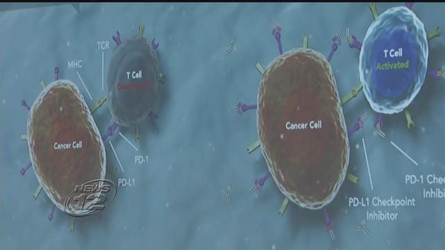 Article 129254 Thumbnail