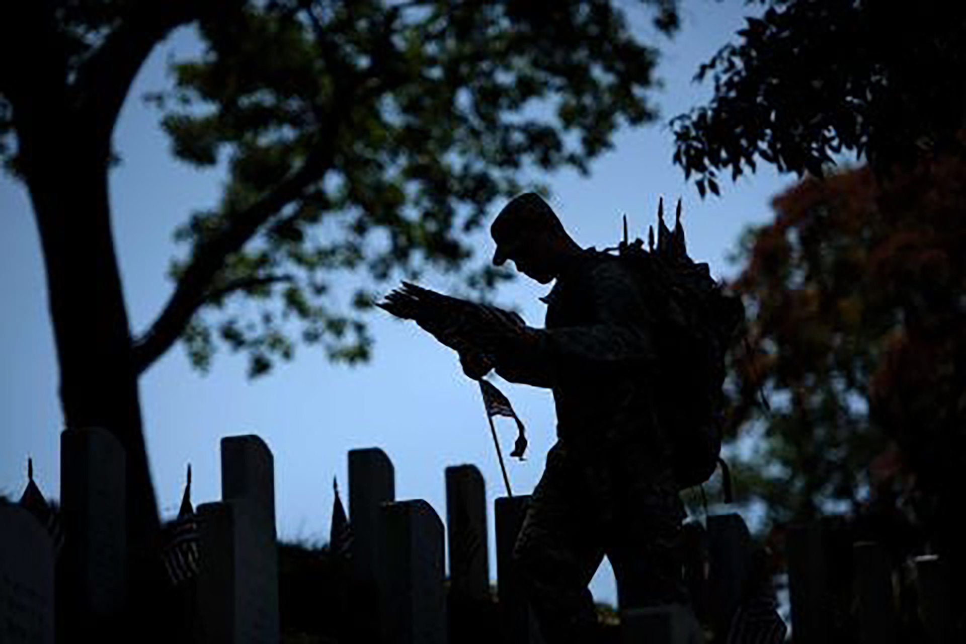 Article 294642 Thumbnail 