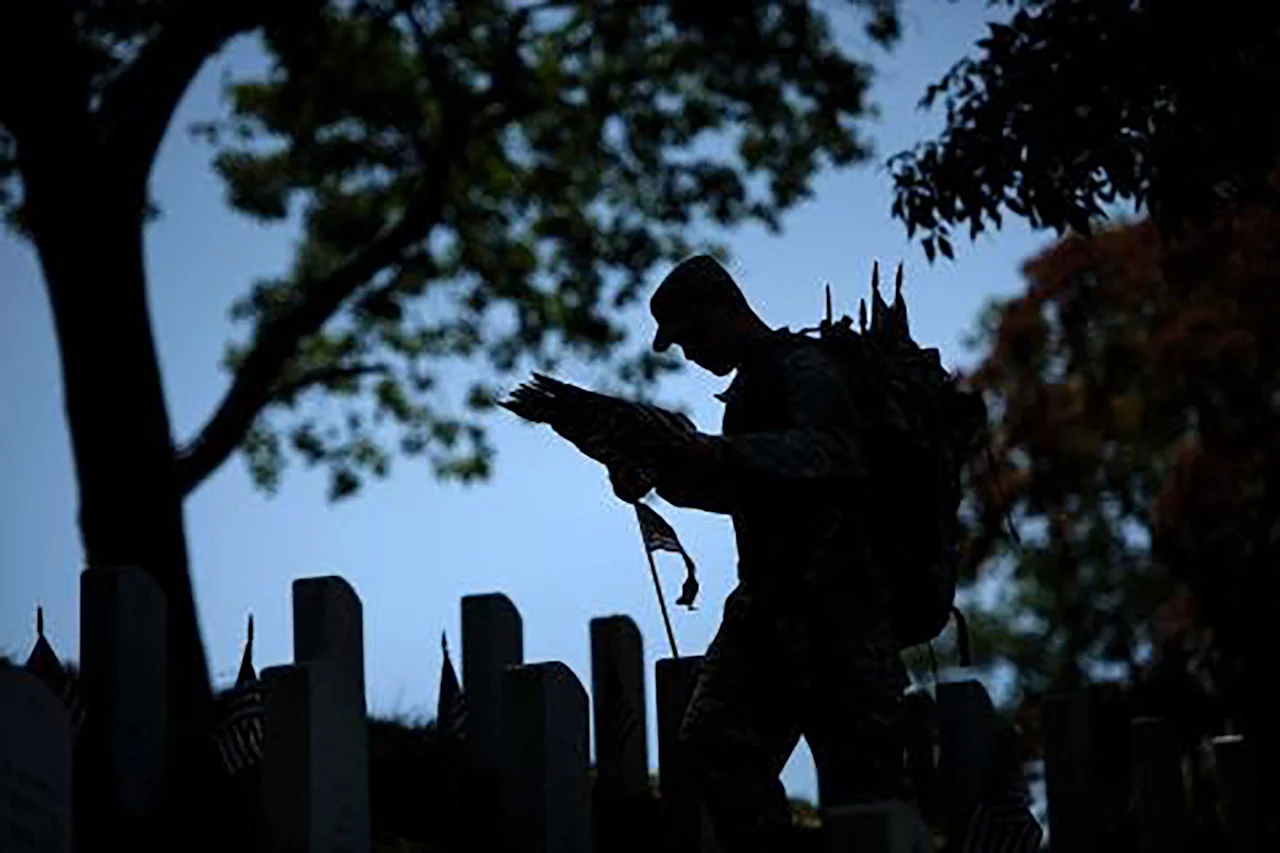 Article 294642 Thumbnail 