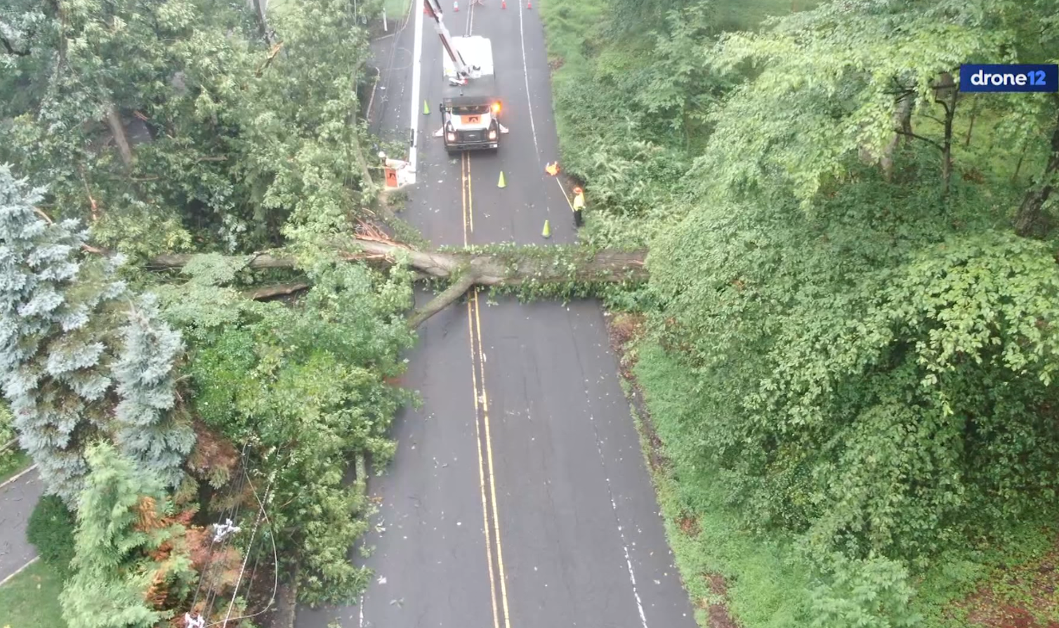 Fallen tree blocks Coles Avenue in Mountainside after strong storms